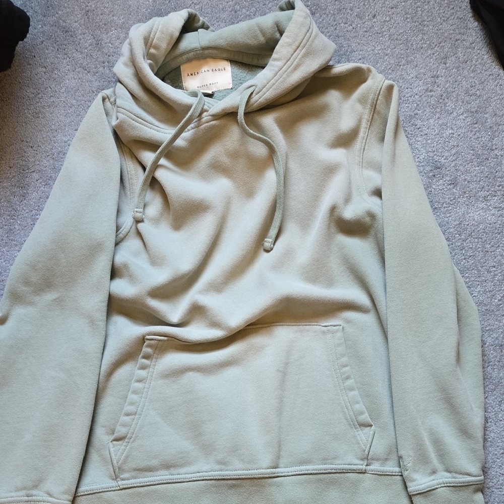 American Eagle Outfitters Sage Green Hoodie